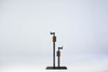 Dual Bike Lift for Professional Clamps