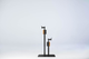 Dual Bike Lift for Professional Clamps